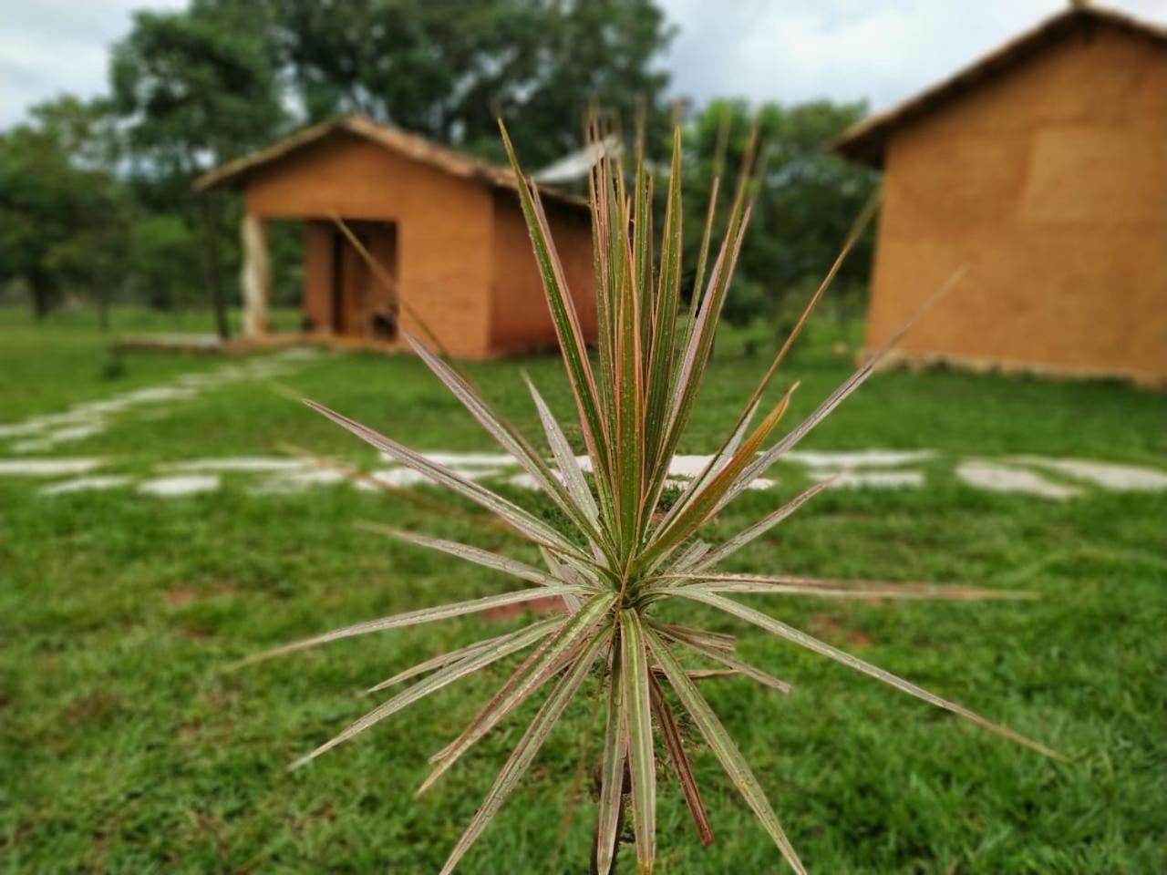 Recanto Do Baru Pirenopolis Ngoại thất bức ảnh